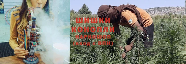стаф Балахна