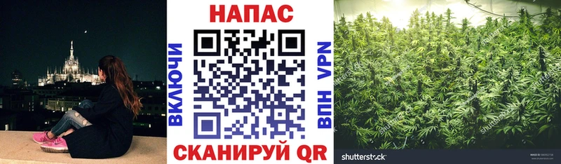 это Telegram  Кувандык  Шишки марихуана тримм  где продают  